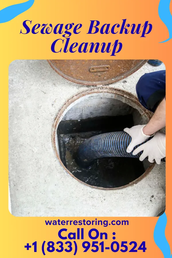 Sewage Backup Cleanup in Humboldt, KS